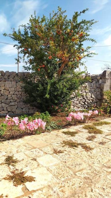 Trullo Mami Βίλα Putignano Εξωτερικό φωτογραφία