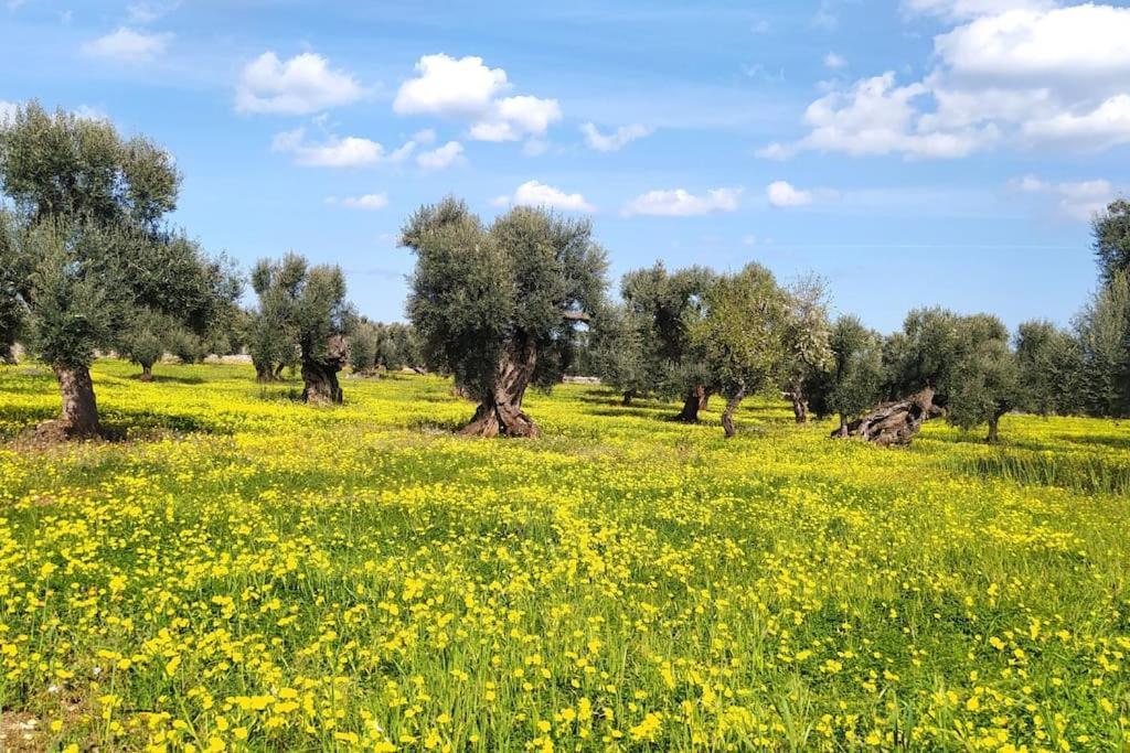 Trullo Mami Βίλα Putignano Εξωτερικό φωτογραφία